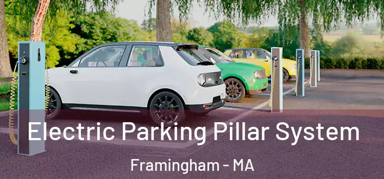 Electric Parking Pillar System Framingham - MA