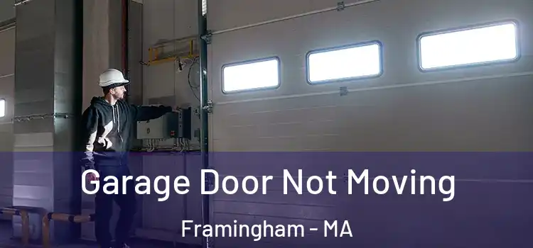  Garage Door Not Moving Framingham - MA