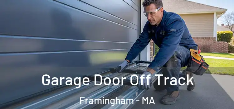  Garage Door Off Track Framingham - MA
