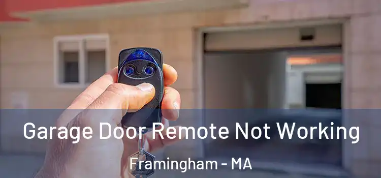  Garage Door Remote Not Working Framingham - MA