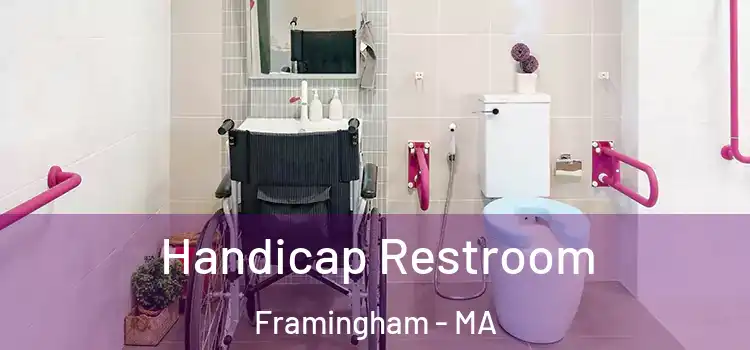  Handicap Restroom Framingham - MA