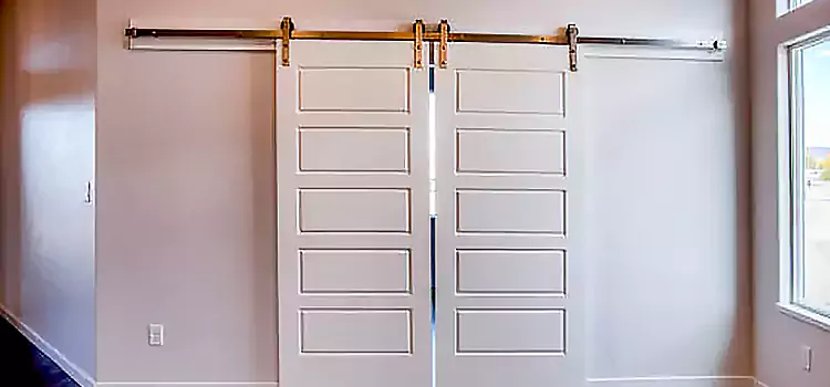 Glass Barn Door with Installation Hardware Kit Framingham