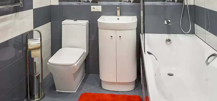 Hansgrohe Shaving Mirror Framingham